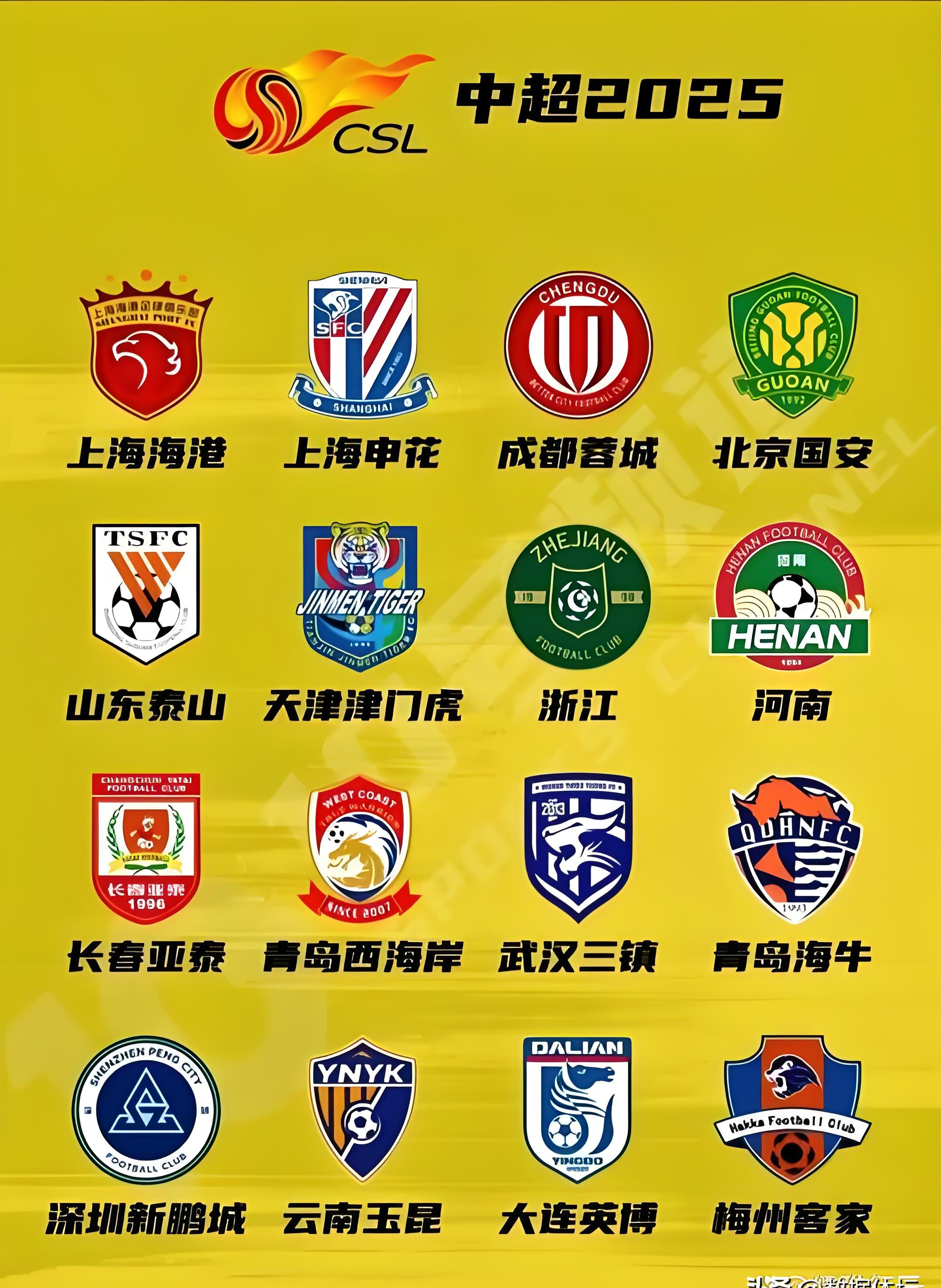 中超传奇球员发挥出色,助球队跻身前列 中超传奇球员发挥出色,助球队跻身前列