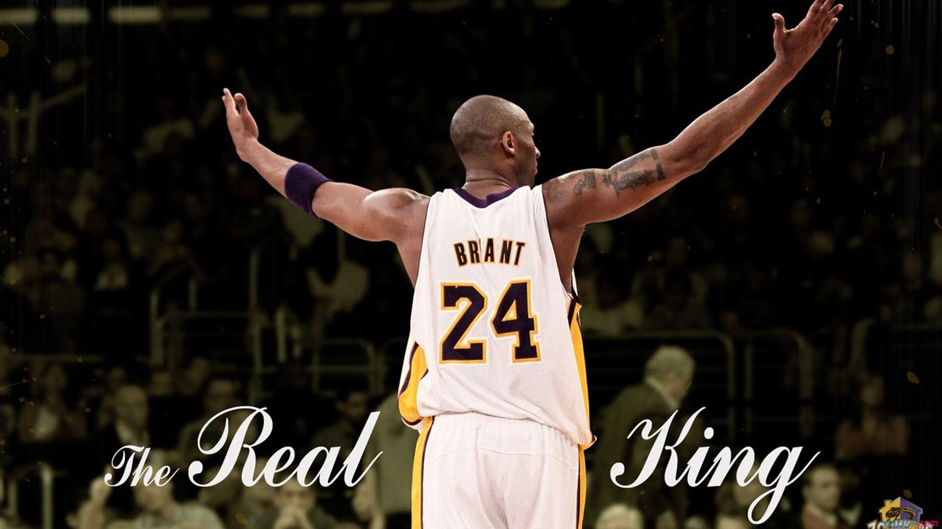 F1年度争冠之夜，乔治·拉塞尔的教科书级表现如何定义现代赛车智慧