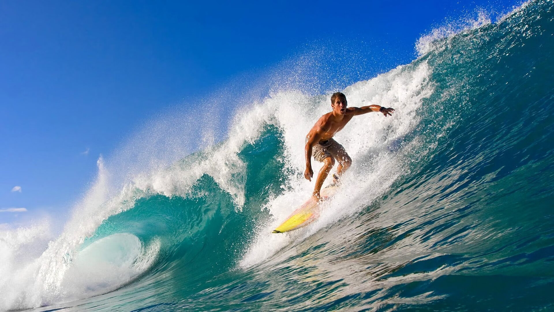 世界排名争夺战焦点战，掘金绝杀猛龙，约基奇导演终场奇迹